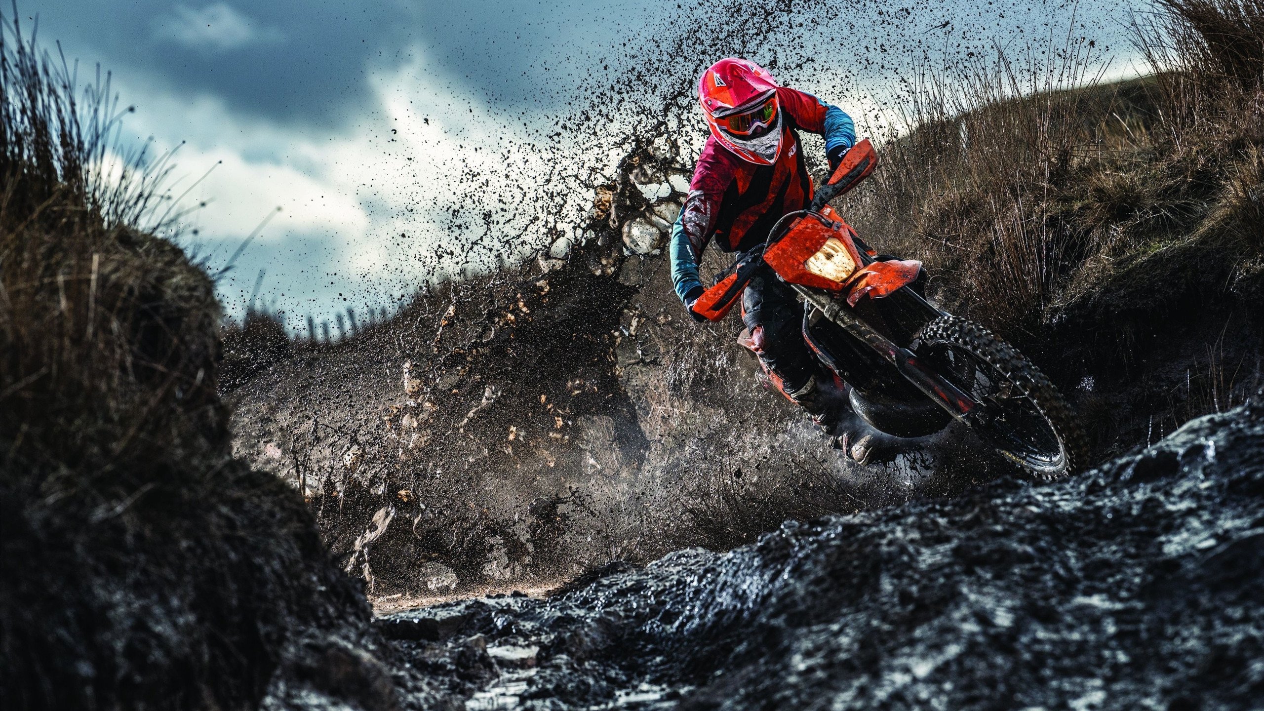 开云综合服务-全黑队的防守体系严密，威胁敌方进攻，黑队什么意思