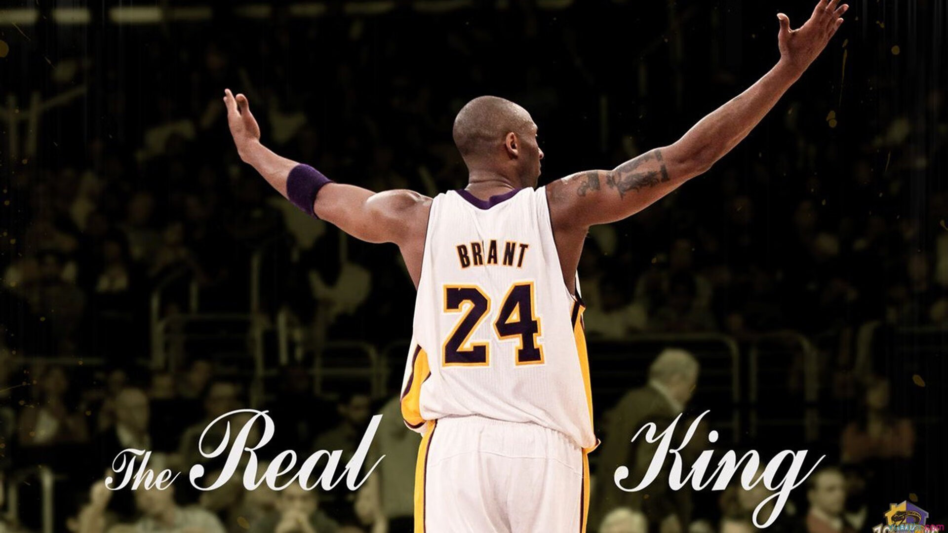 开云平台-格鲁塞技术细腻助力决赛晋级，鲁格赛特vs格罗布